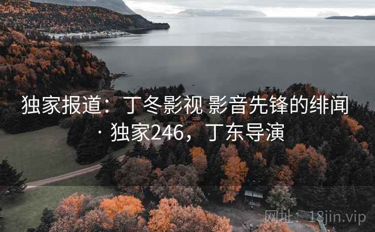 独家报道：丁冬影视 影音先锋的绯闻 · 独家246，丁东导演