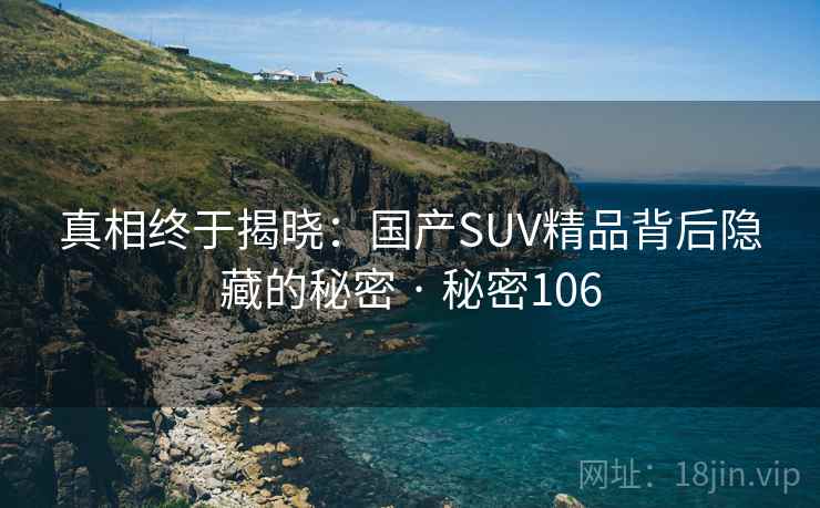 真相终于揭晓：国产SUV精品背后隐藏的秘密 · 秘密106