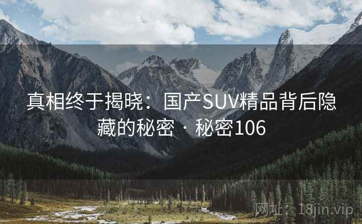 真相终于揭晓：国产SUV精品背后隐藏的秘密 · 秘密106