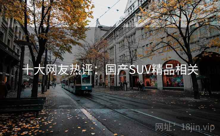 十大网友热评：国产SUV精品相关
