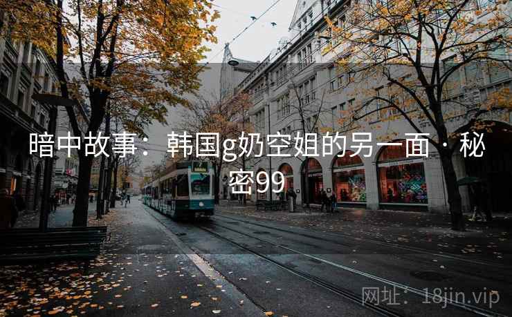 暗中故事:韩国g奶空姐的另一面 · 秘密99