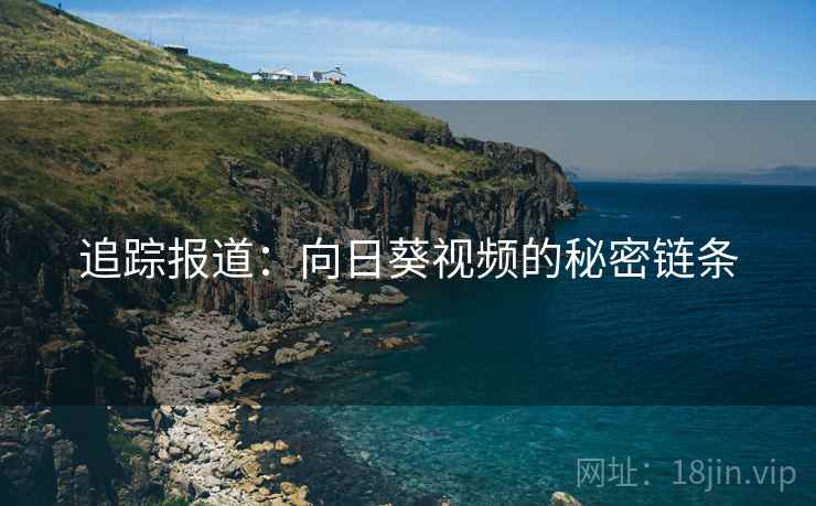 追踪报道:向日葵视频的秘密链条